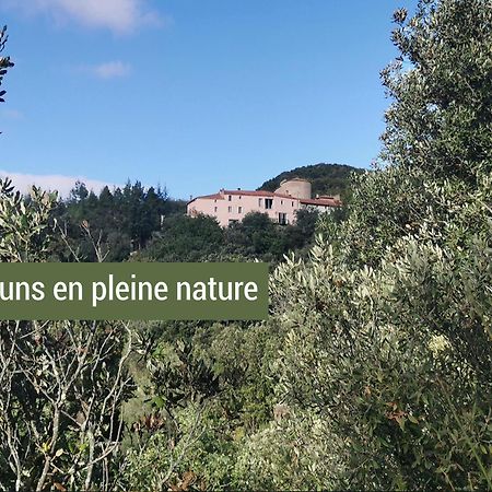 Pyrénées Mon Amour Felluns Esterno foto