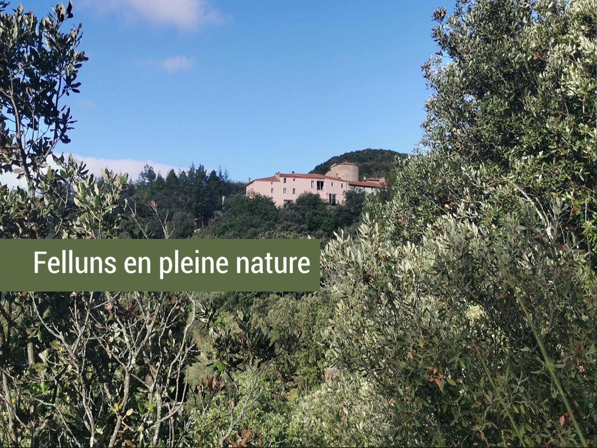Pyrénées Mon Amour Felluns Esterno foto